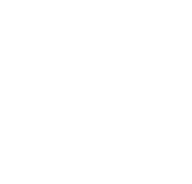 Polygon 8(1)